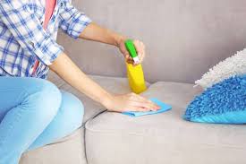 Expert Sofa Cleaning Near Me | Afinity Maintenance Services