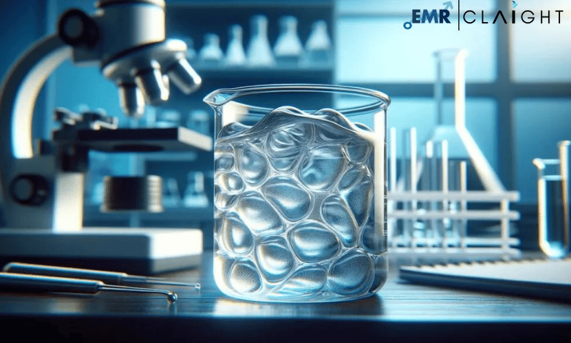 Hydrogel Market Report and Forecast 2024-2032: Growth, Trends, and Innovations in Advanced Medical Applications