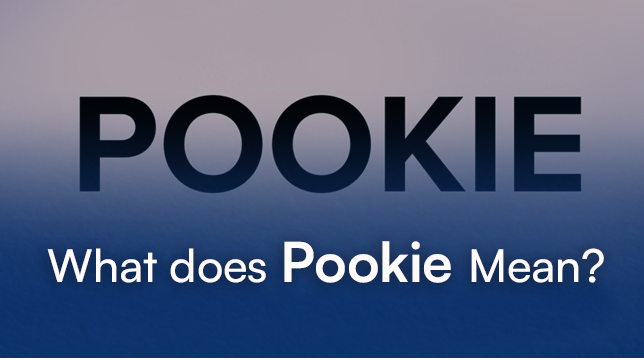 What Is a “Pookie Meaning”? Discover the Cultural Significance