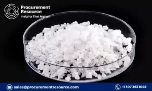 Sodium Nitrate Production Cost Analysis Report – Market Insights and Procurement Resource Assessment