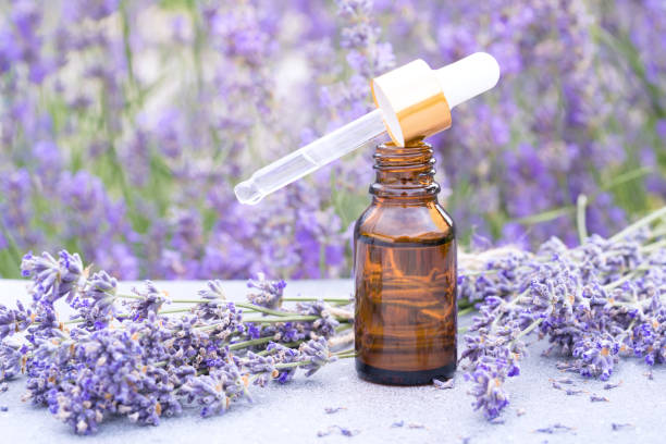 How Lavender Oil Can Treat Acne and Promote Clear Skin