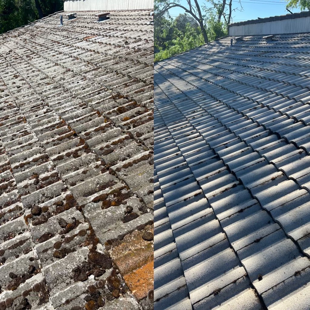 Shine On: Expert Tips for a Pristine Roof Over Your Head!