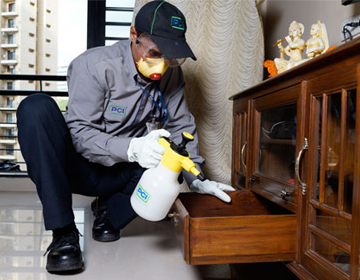 Guide to Termite Control Services and pest control exterminators near me