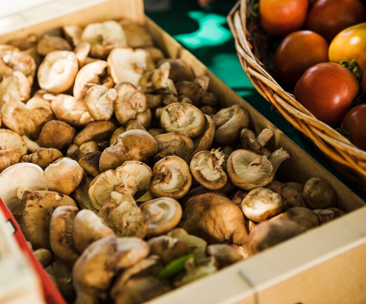 Mushroom Boxes: Beyond the Movies Unveiling the Unexpected Versatility